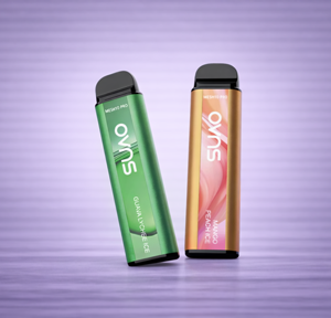 OVNS Mesh 10 Pro 5500